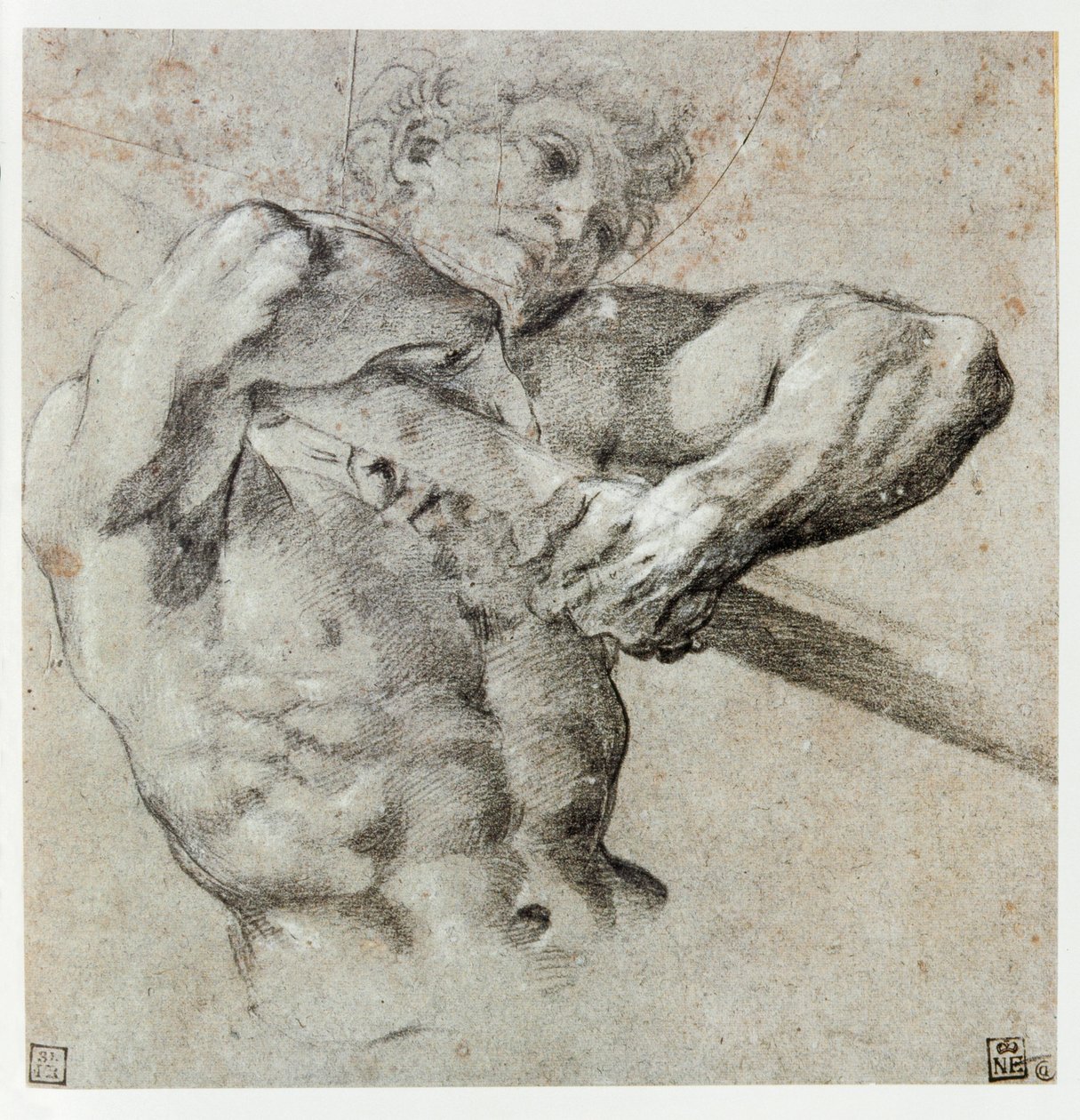 男性像の研究... 作： Annibale Carracci