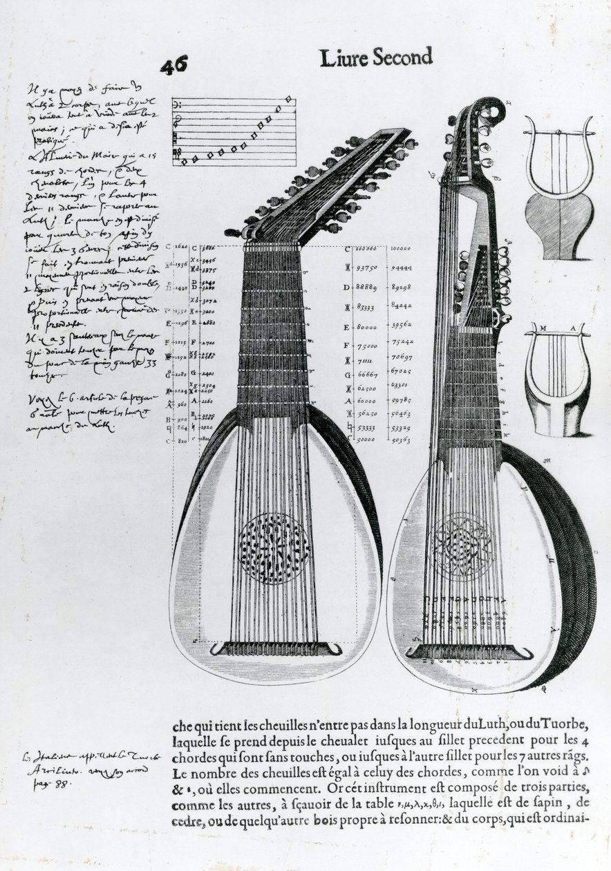 リュート、1636 作： 不明不明