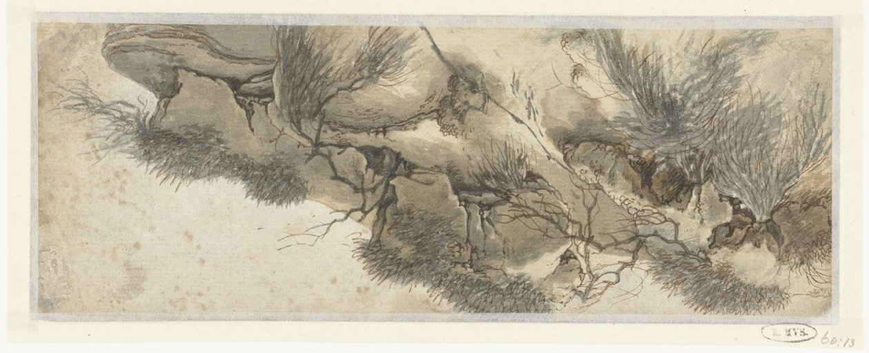 植生斜面 作： 匿名