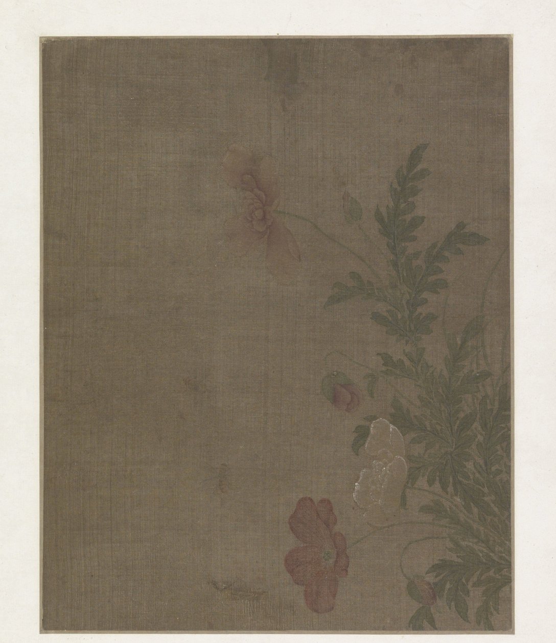 ケシの花 作： 匿名