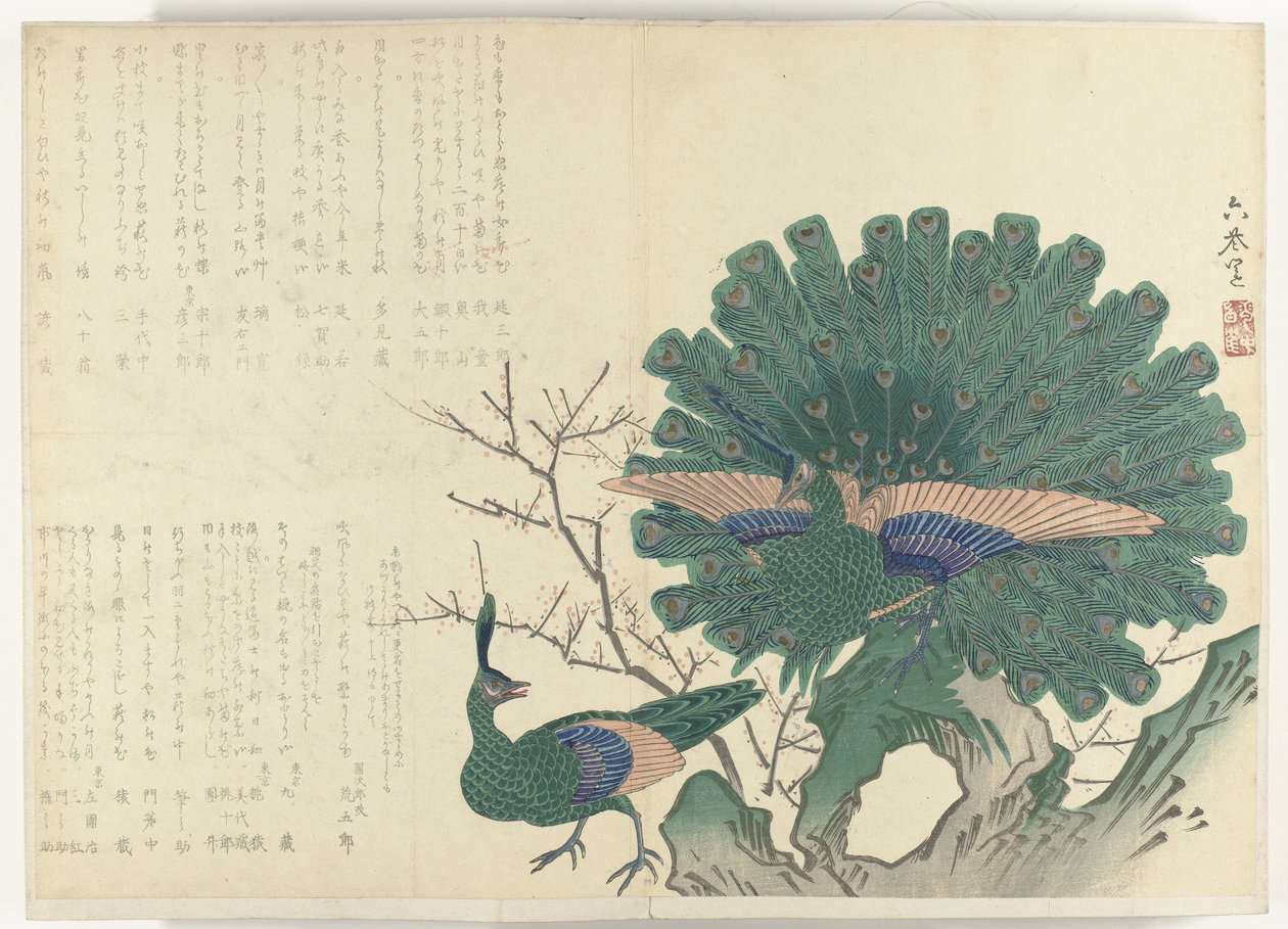 クジャク アルバム 四条摺物 1840年～1900年（連載タイトル） 作： 匿名