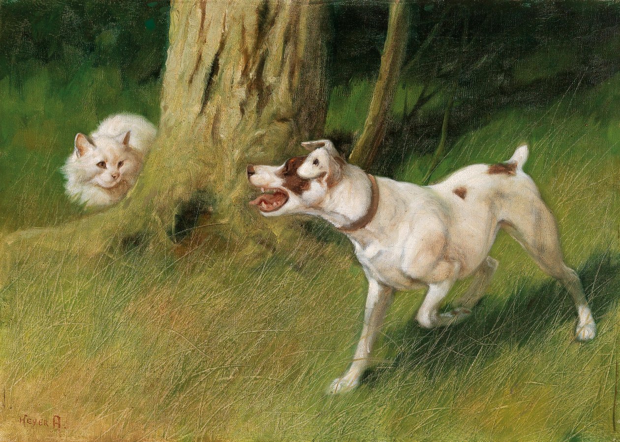 犬と猫 作： アーサー・ヘイアー