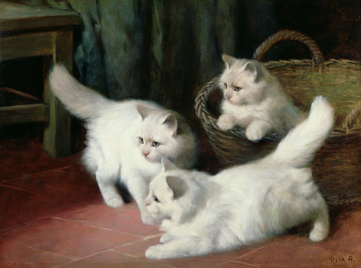 3つの白いアンゴラの子猫 作： アーサー・ヘイアー