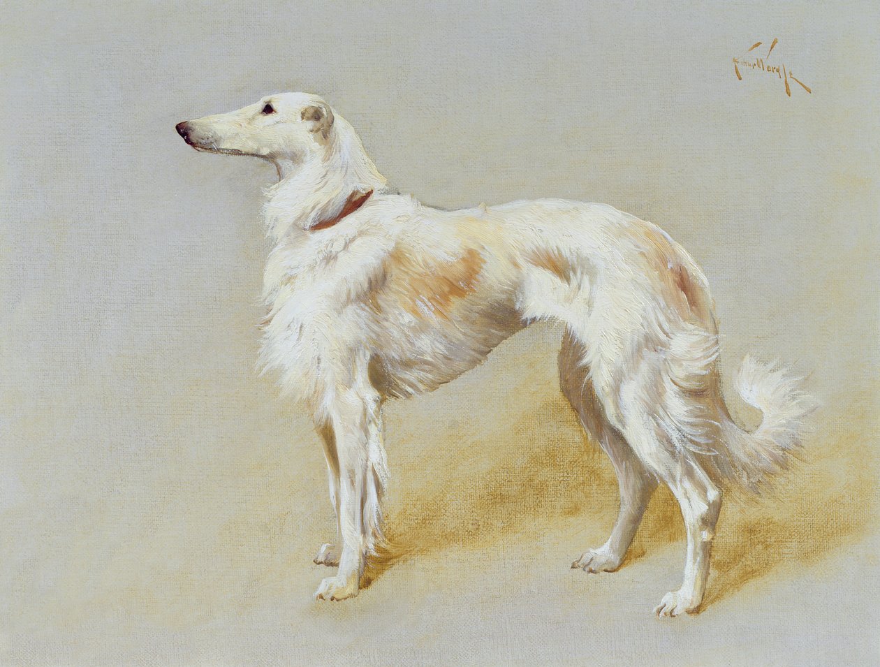 ボルゾイ犬（キャンバスに油彩） 作： アーサーワードル