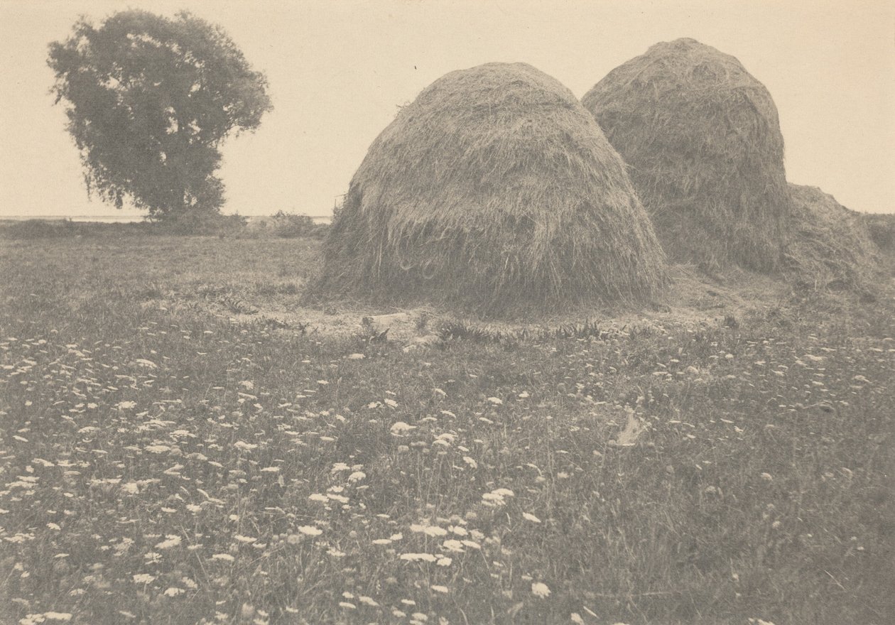 イプスウィッチ、ヘイスタックス。1894年（写真） 作： アーサー・ウェスリー・ダウ
