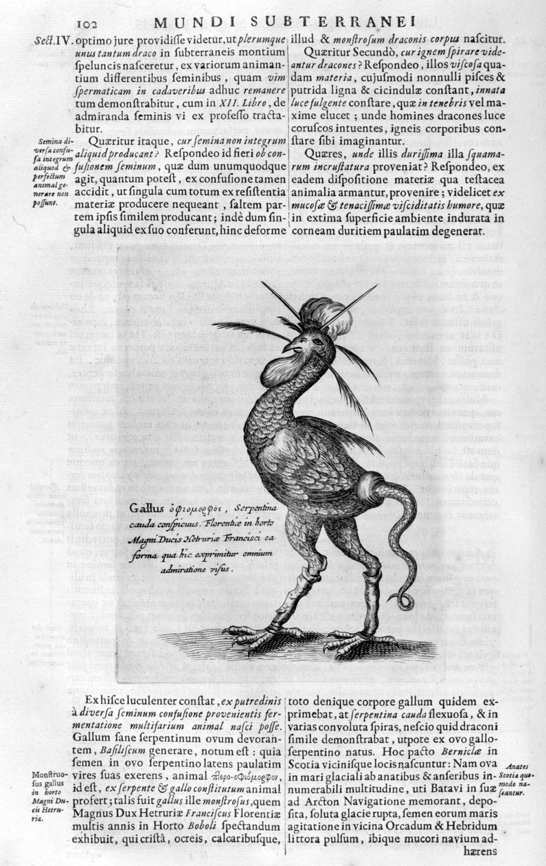 神話上の生き物、1678年。 作： アタナシウス・キルヒャー