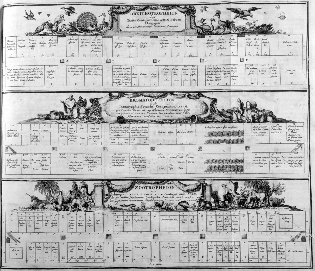種の表、1765年。 作： アタナシウス・キルヒャー