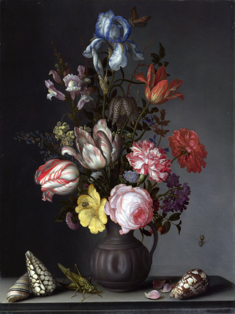 貝殻と昆虫と花瓶の花 作： バルタザール・ファン・デル・アスト