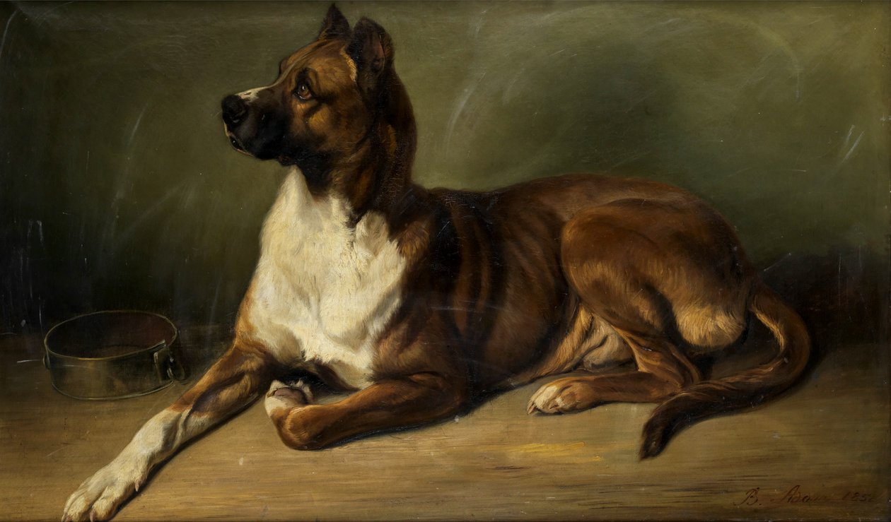ベンノ・アダム 犬の肖像 1852年 作： ベンノ・アダム