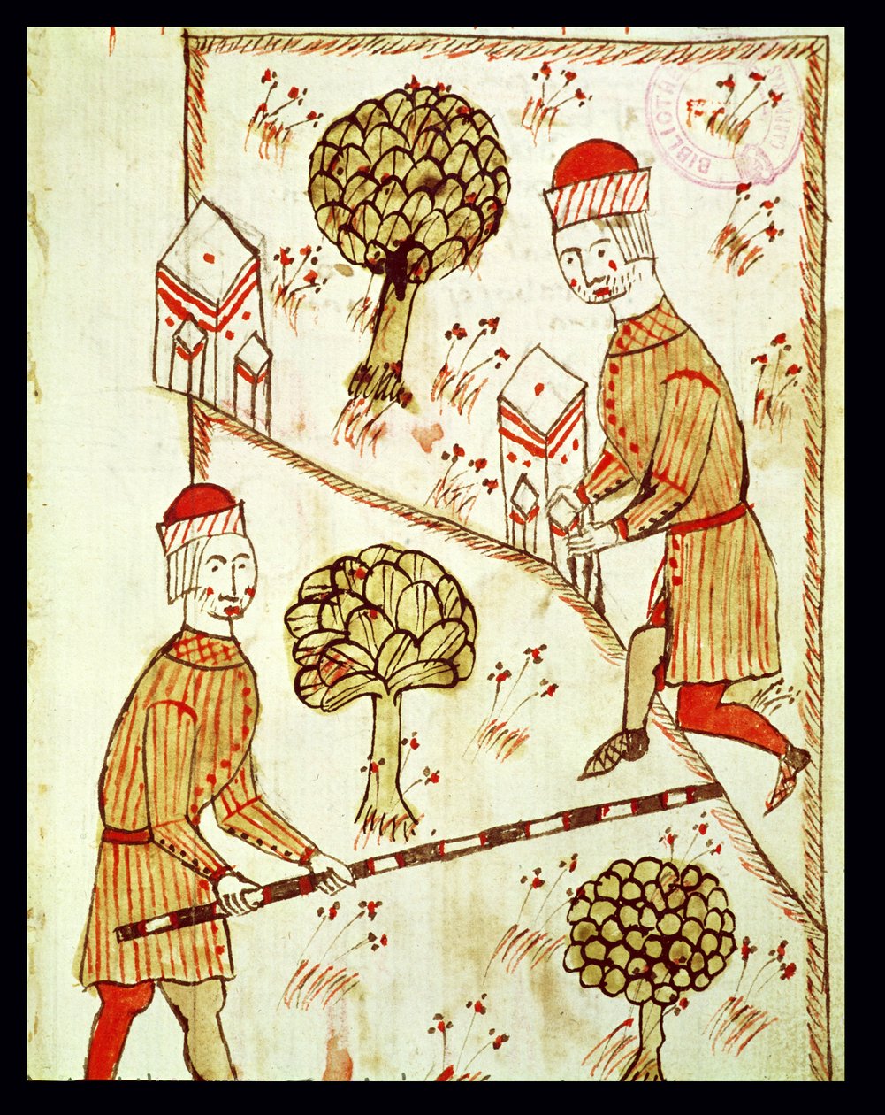 Ms 327 fol.28r Arnaud de Villeneuve（1240-1312）の「Traite d&39;Arpentage」からの調査と土地の境界 作： バートランド・ボーイセット