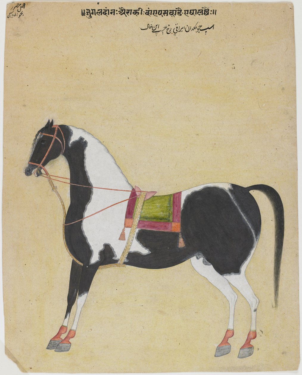種馬ジュカルダンアイラギ、1730年頃（紙に不透明なトイレ） 作： ババニ・ダス