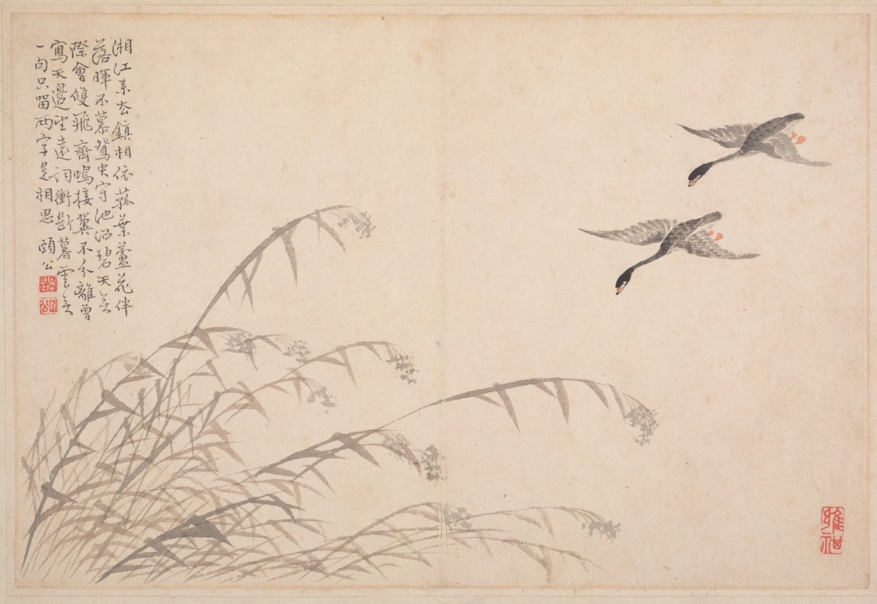 書道と絵画のアルバム、18世紀。 作： ビアン・ショウミン