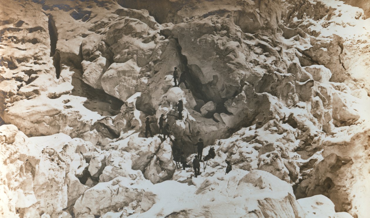 サヴォワ41-鱗の風景、1860年頃 作： Bisson Freres Studio