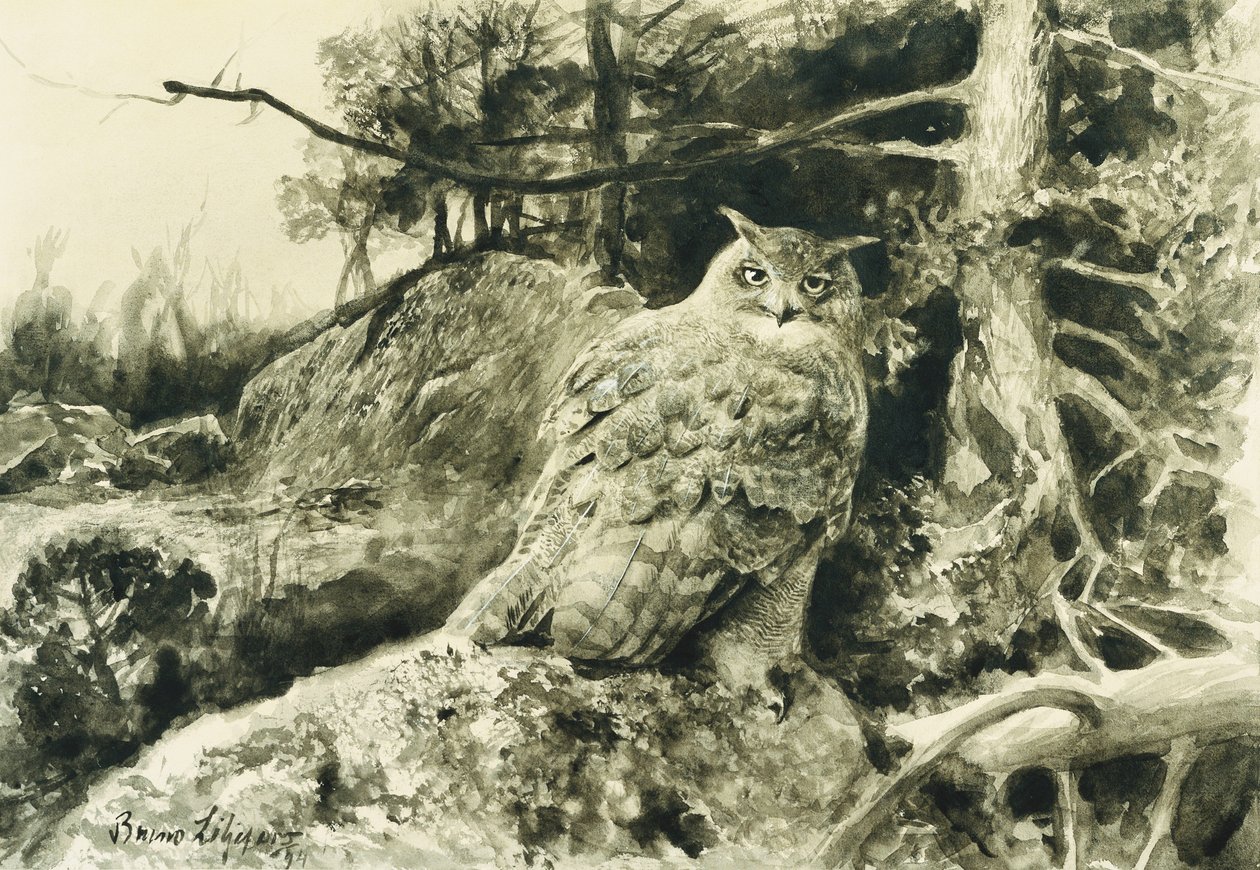 ワシミミズク（ワシミミズク）Bubo Bubo 作： ブルーノ・アンドレアス・リリエフォース