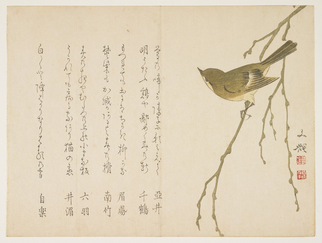 柳の枝のナイチンゲール、1860年頃（木版印刷） 作： ぶんき