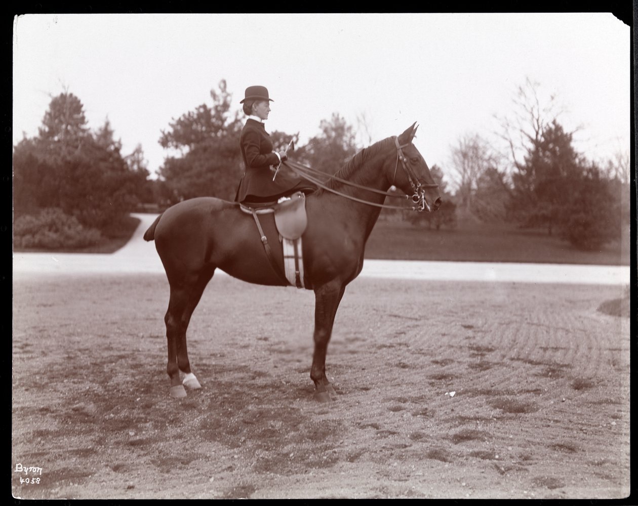 セントラルパークの手綱の道で馬に提起されたビーチ夫人の肖像、1898年（銀ゼラチンプリント） 作： バイロンカンパニー