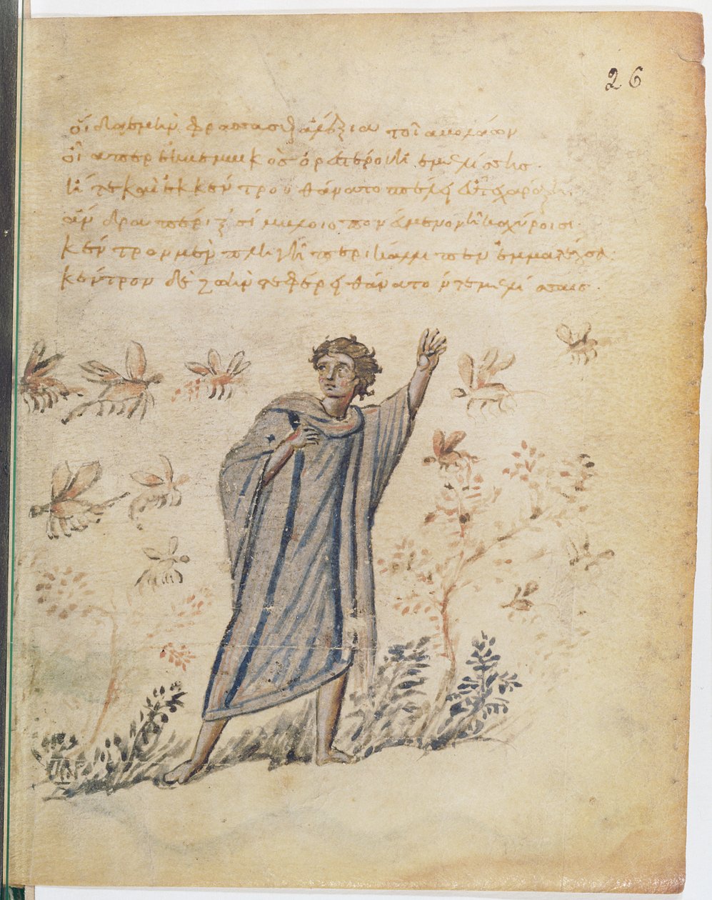 Ms Supp Grec 247 fol.3ミツバチから逃げる男、コロフォンのニカンデルのテリアカのイラスト（紀元前2世紀） 作： ビザンチン