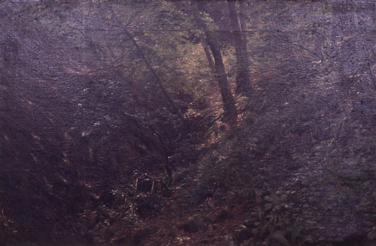峡谷の春 作： CAコール