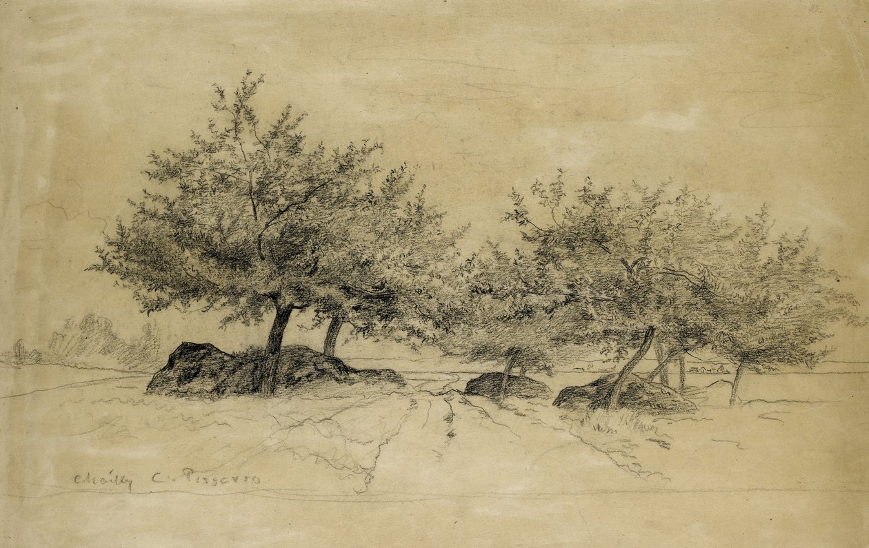 直訳：シャイリー、c。 1859（ベージュの紙に木炭） 作： カミーユ・ジェイコブ・ピサロ