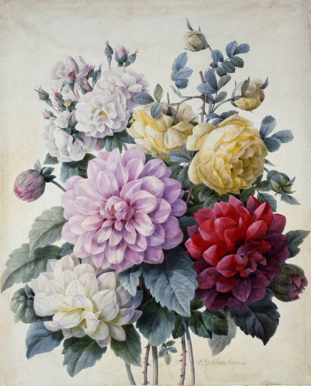 花の花束、ダリアとバラ、c.1830-40を公開（色の刻印の刻印） 作： カミーユ・ド・シャンテレイン