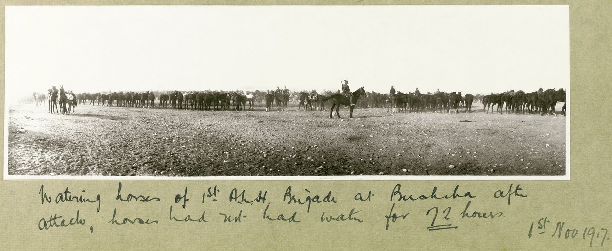 攻撃後、Beershebaにいる第1 ALH旅団の馬に水をまき、72時間水を飲まなかった、1917年11月1日 作： 大tアーサーロードス