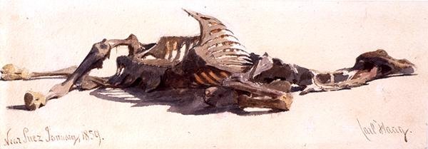 スエズ付近の死んだラクダ 作： カール・ハーグ