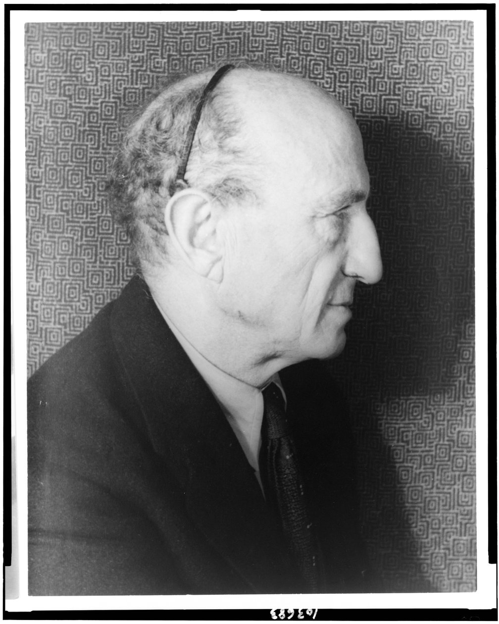 レオ・スタイン（1872-1947）の肖像 作： カール・ヴァン・ヴェヒテン