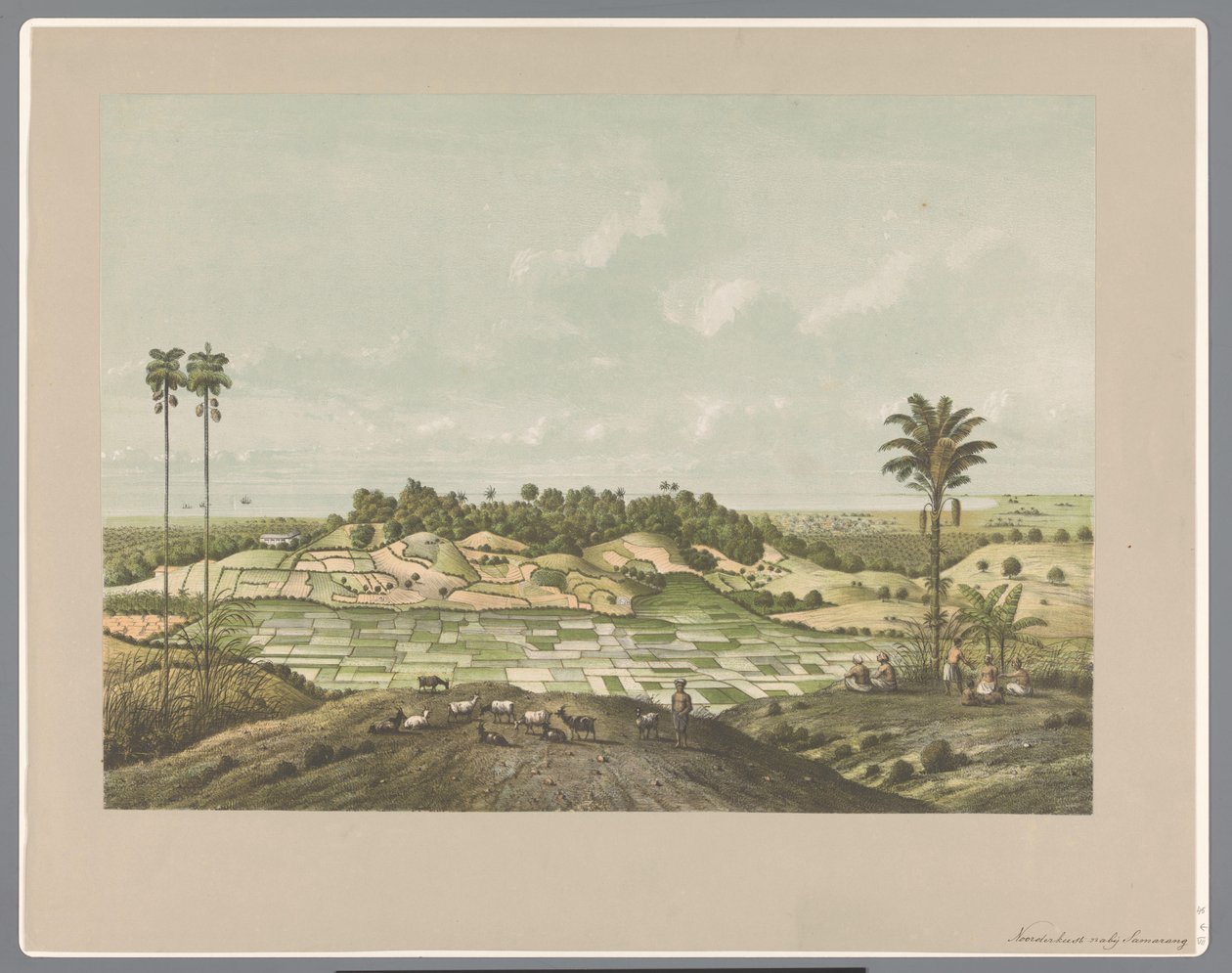 スマラン近くの北海岸 作： Carl Wilhelm Mieling（おそらく）