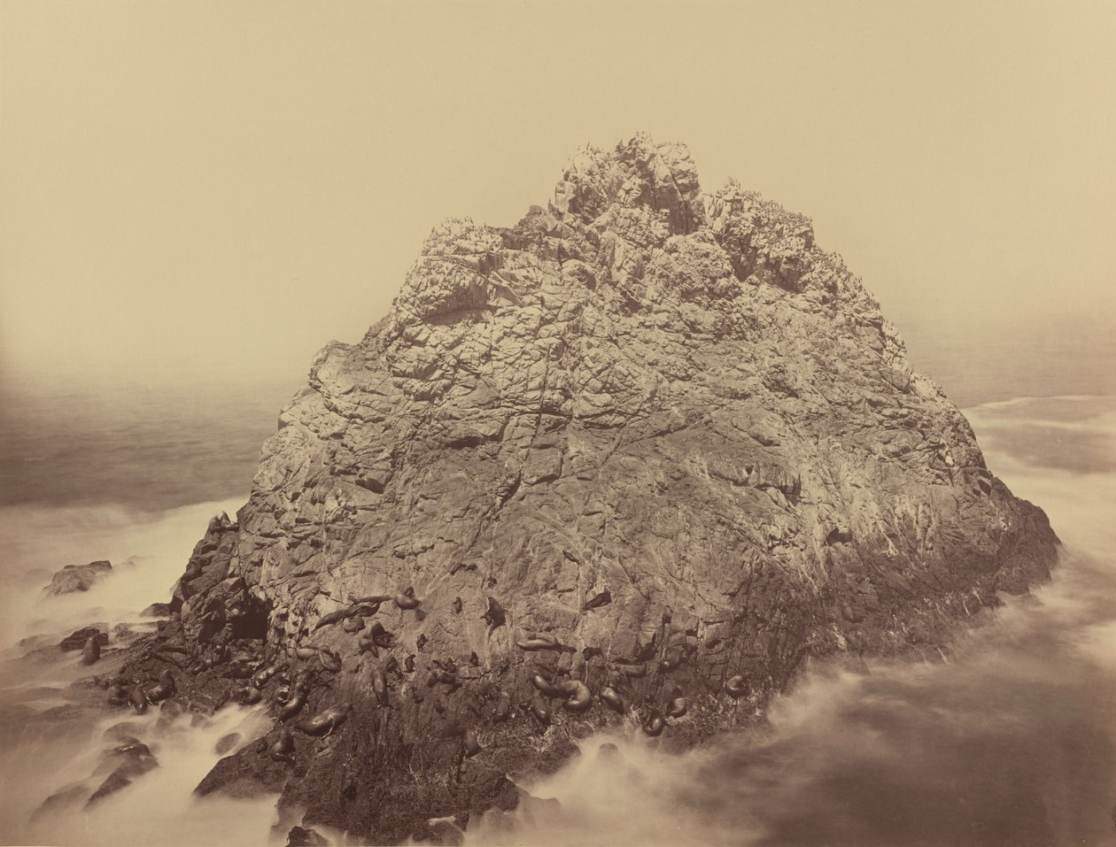 ファラロン諸島、シュガーローフ島、1868/1869（写真） 作： カールトン・エモンズ・ワトキンス