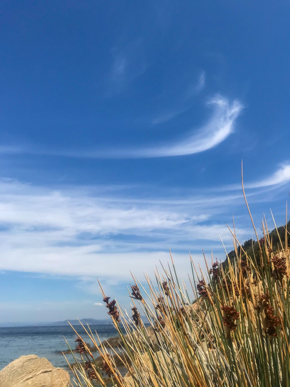 風景 - 空と海、2019年（写真） 作： セシル・ジャメット