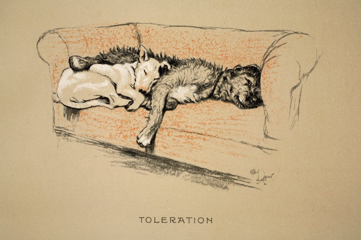 寛容、1930年、「眠るパートナー」の第1版、アルディン、セシルチャールズウィンザー（1870-1935）、エアとSpottiswoode Limited、チョークとチャコールが紙に出版 作： セシル・チャールズ・ウィンザー・アルディン