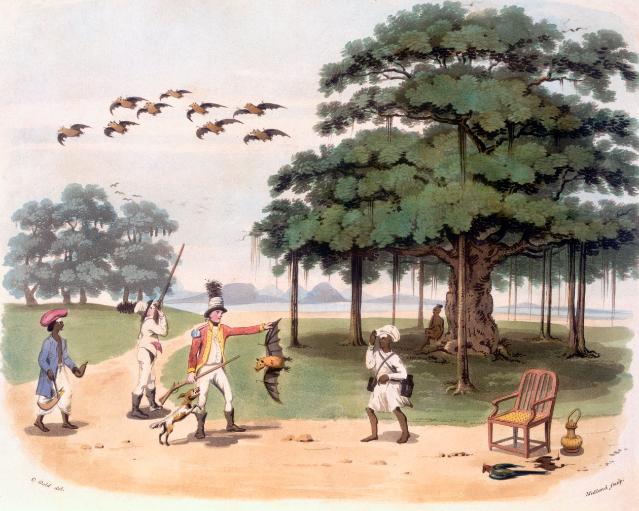 バンヤンツリーでのオオコウモリc.1791-98（アクアチント色） 作： チャールズ・エミリウス・ゴールド