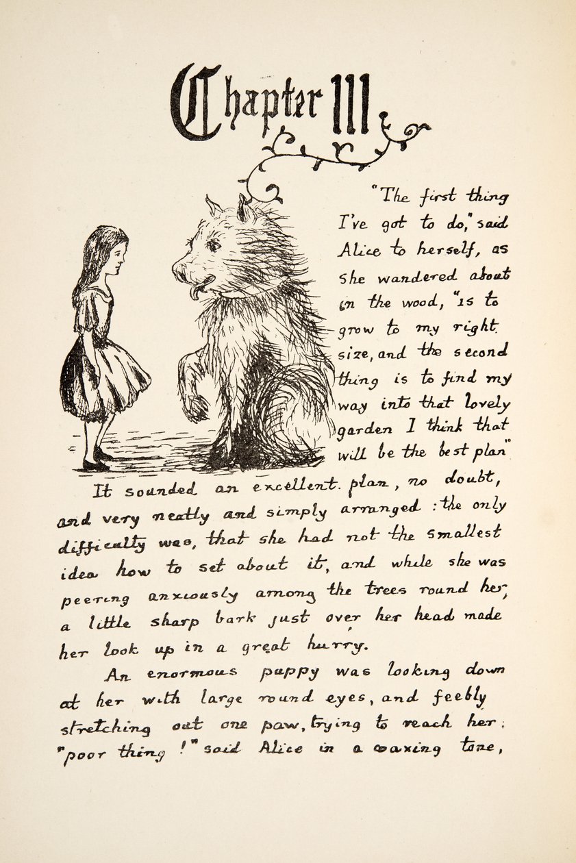 アリスはパブのアリスアドベンチャーアンダーグラウンドからのイラストである子犬に会います。 1886（ファクシミリ） 作： チャールズ・ルトウィッジ・ドジソン