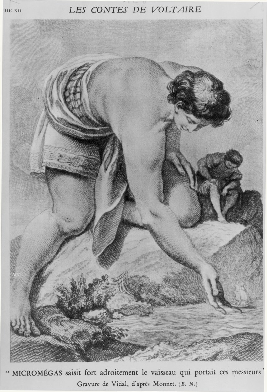 「マイクロメガはこれらの紳士を乗せていた船を巧みに拾います」、ジェラール・ビダル（1742-1801）が刻印したフランソワ・マリー・アルエ・ド・ヴォルテール（1694-1778）の「レ・コンテ」 作： チャールズ・モネ
