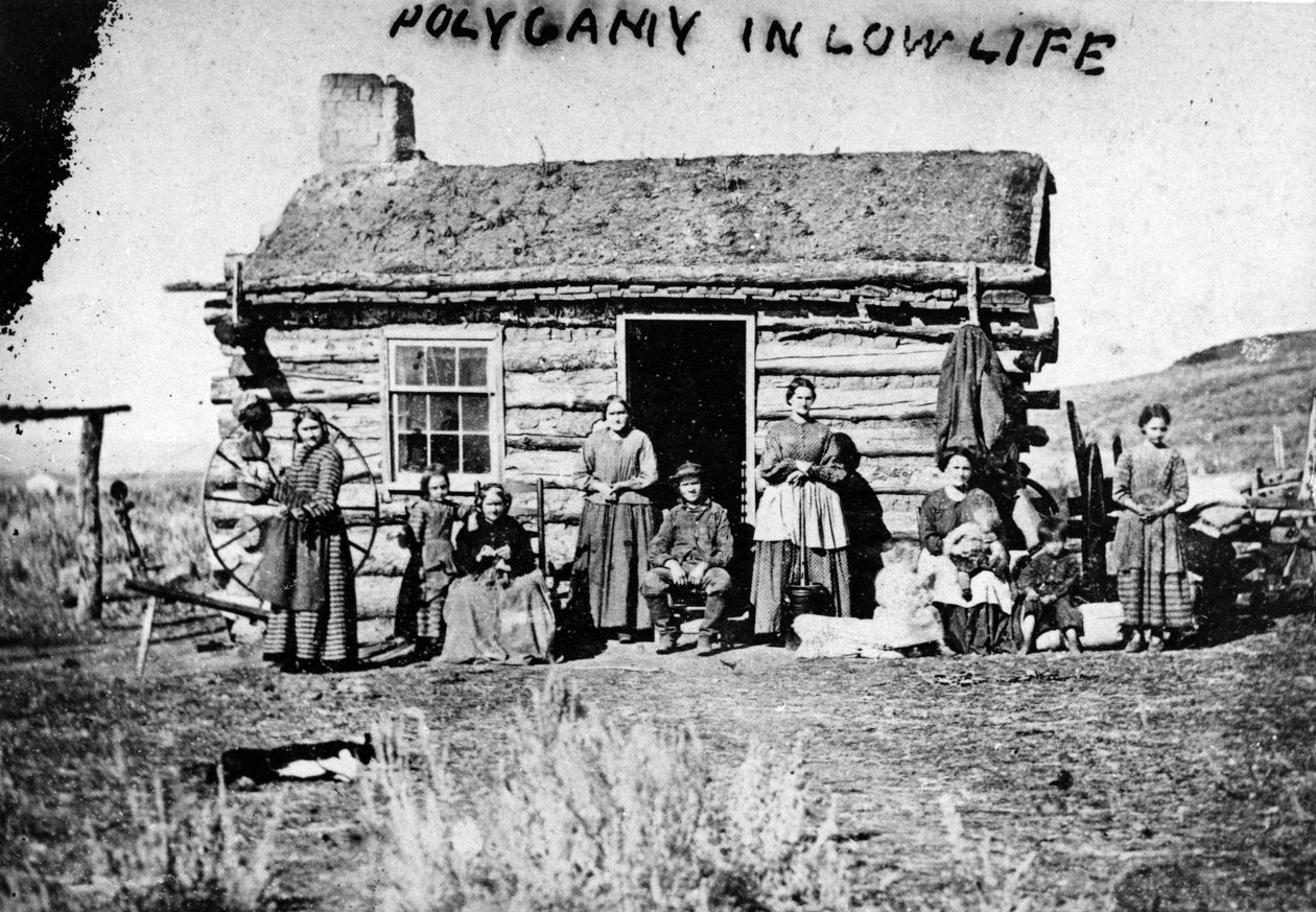 生涯一夫多妻制、1860年代頃 作： チャールズ・ロスコー・サベージ