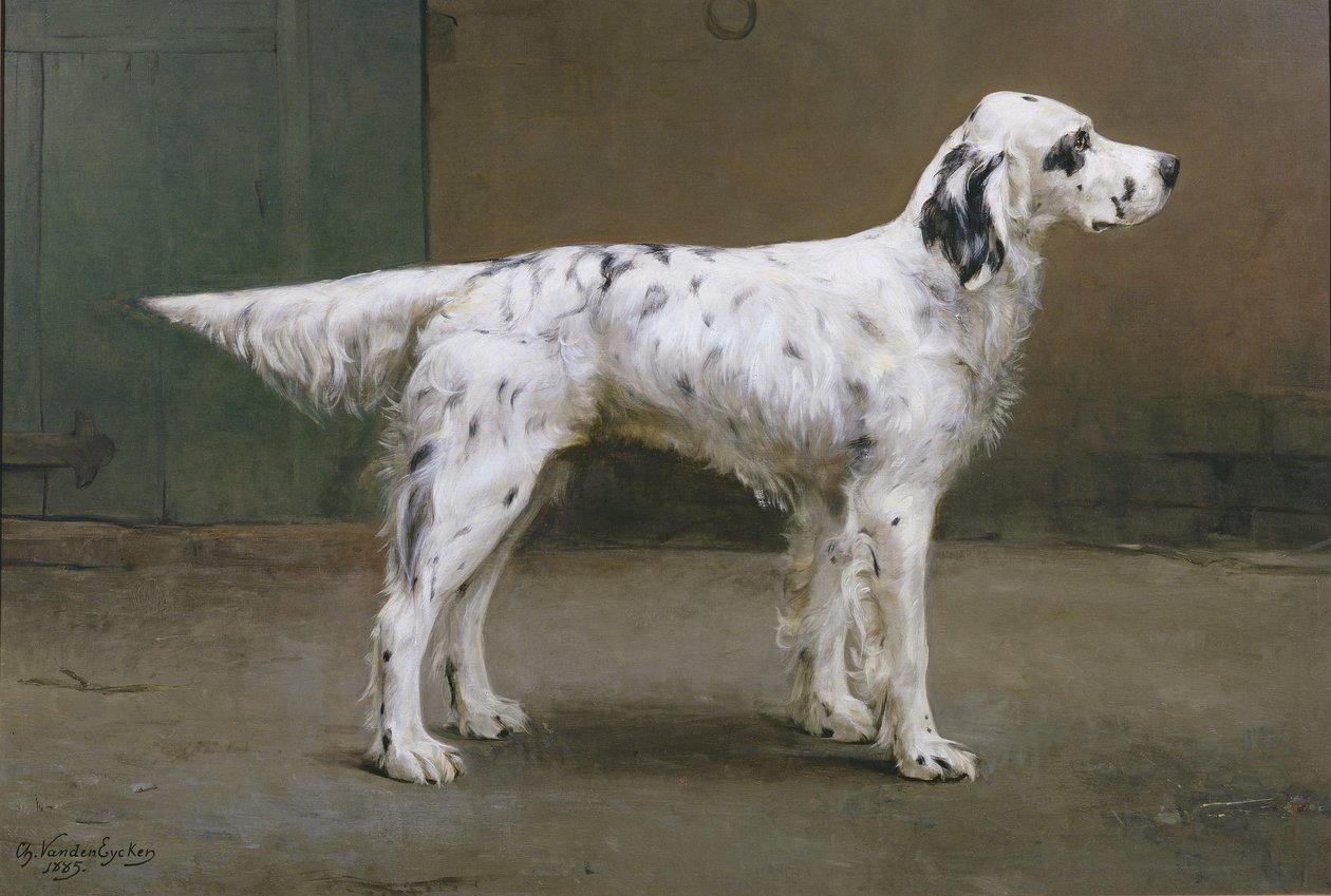 犬の肖像、1885年（378730とペア） 作： シャルル・ファン・デン・エイケン