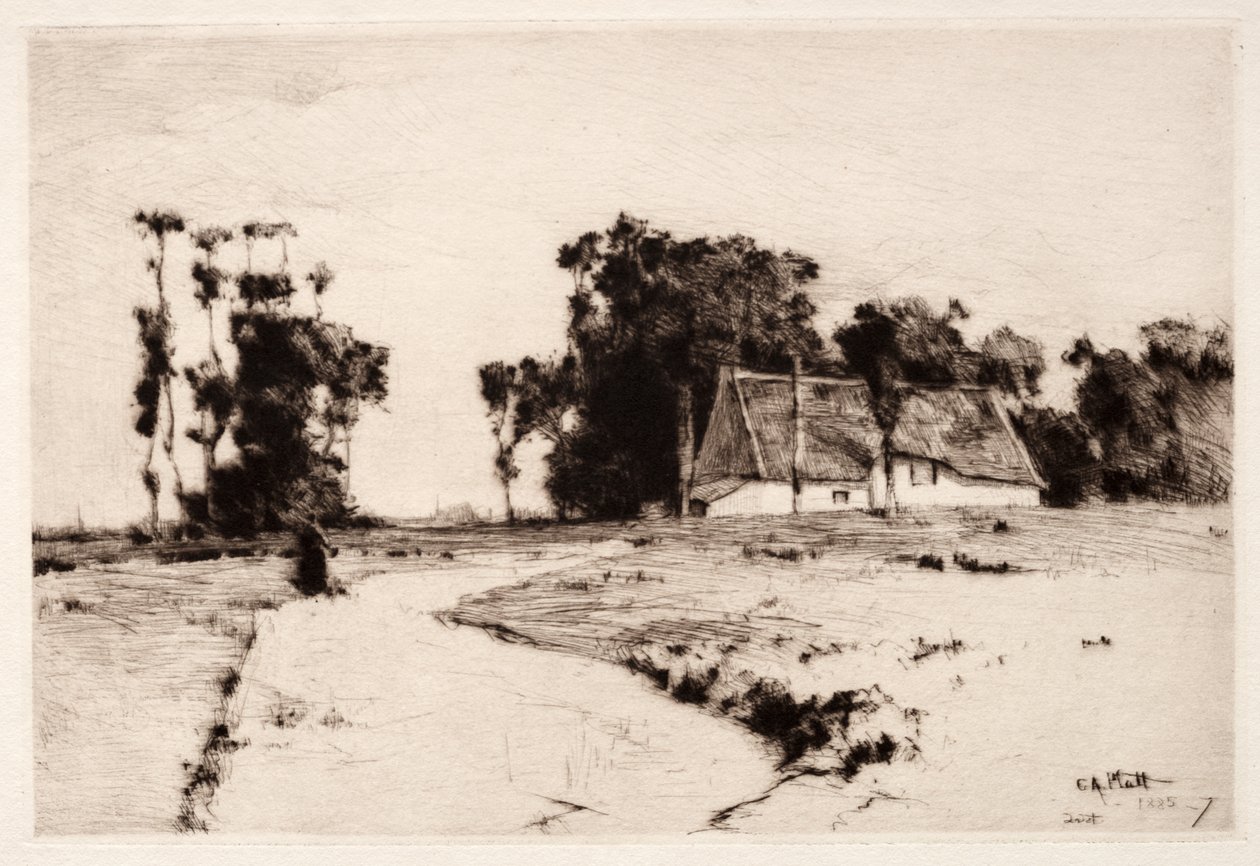 ブルターニュの木、1885-1887。 作： チャールズアダムスプラット