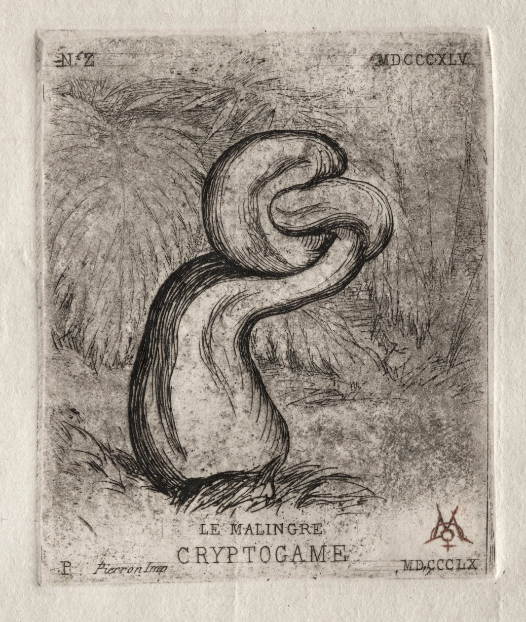 The Sickly Cryptogam、1860。 作： チャールズ・メリヨン