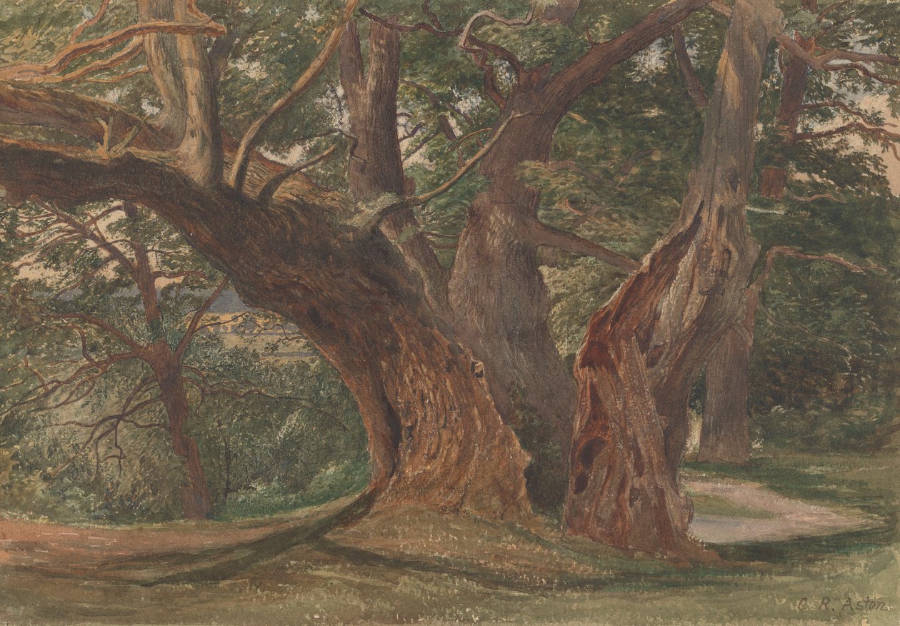 Trees in a Landscape   1444587   ja       japanese Successfully Translated  Original: Beaulieu, Hampshire Translat: Beaulieu, Hampshire 1444441 ja japanese Successfully Translated Original: Design for an Urn Translat: Design for an Urn 1445486 ja japanese  作： チャールズレジナルドアストン