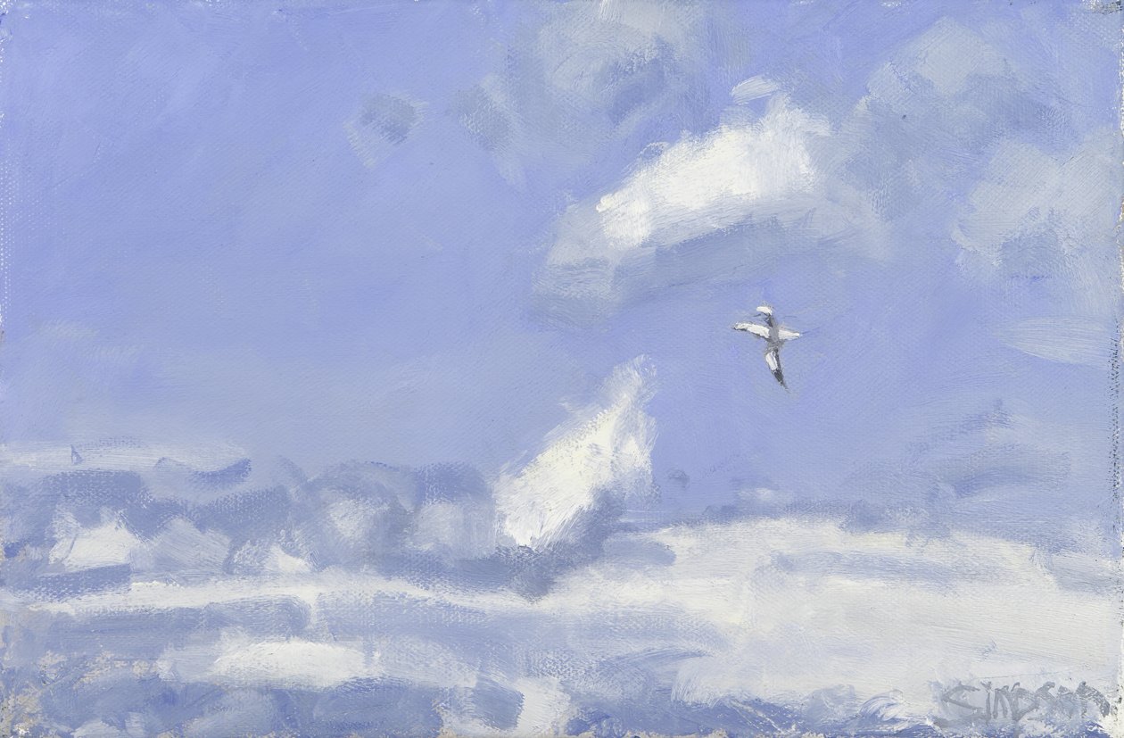 Gannet  Clouds, 2016（キャンバスに油彩） 作： チャールズ・シンプソン