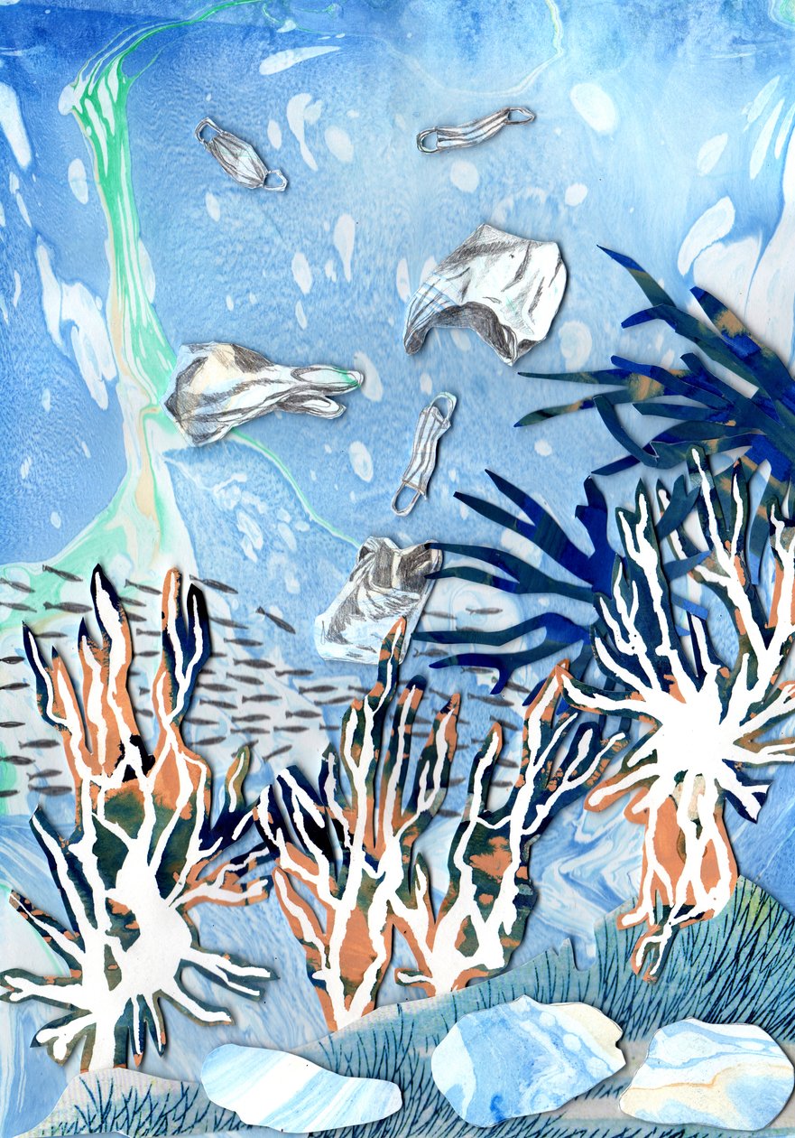 サンゴ礁、2021 年 作： Charlotte Orr
