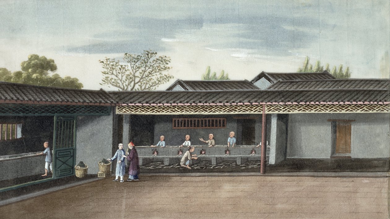 茶葉の乾燥（紙にトイレ） 作： 中国語学校