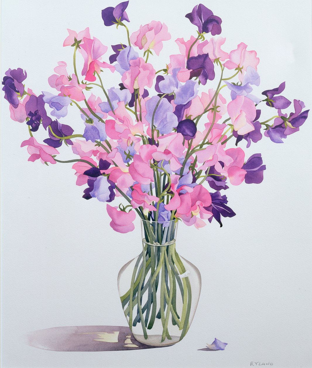 Sweetpeas、2007年（紙にトイレ） 作： クリストファー・ライランド