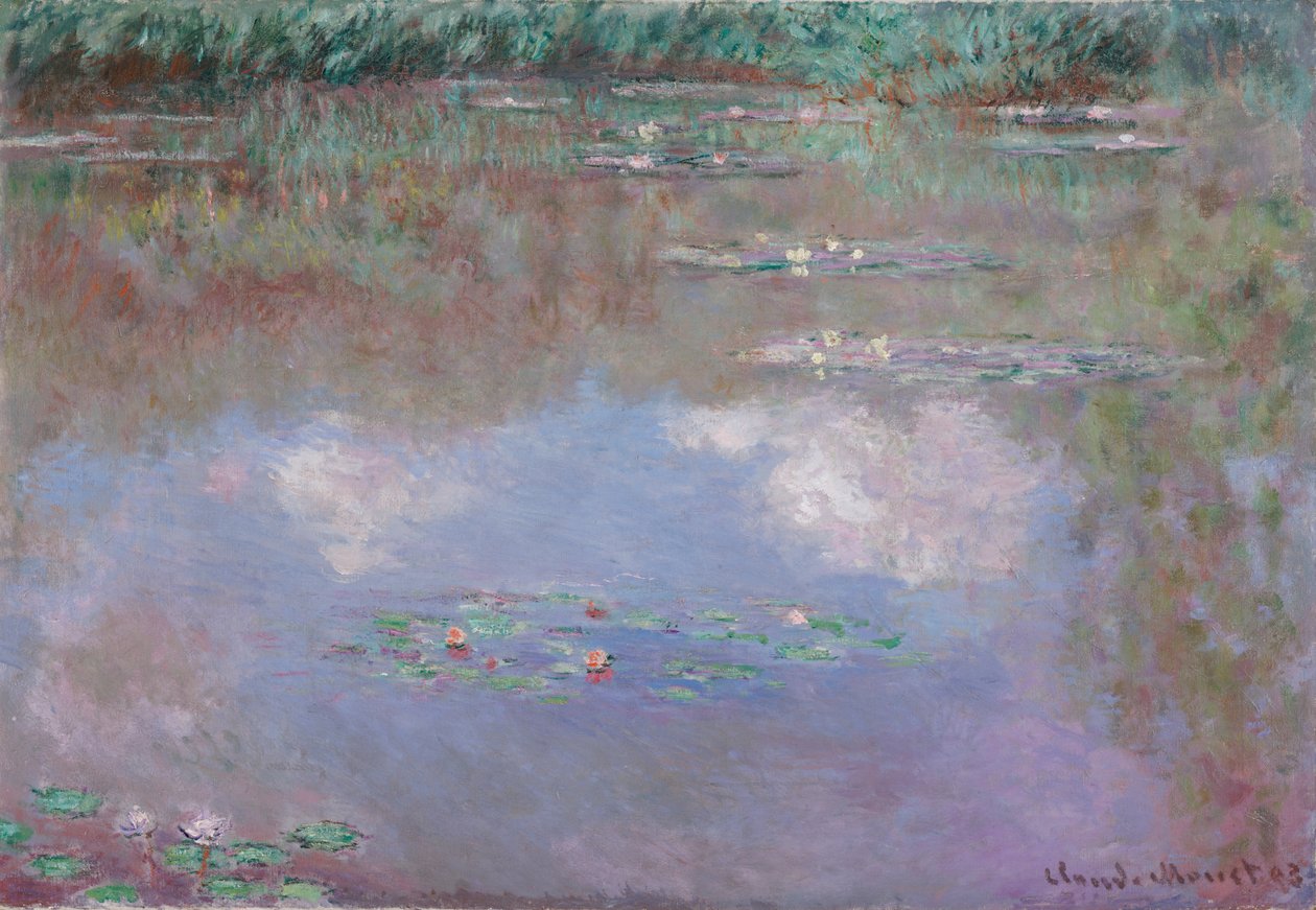 睡蓮、雲、1903 作： クロード・モネ
