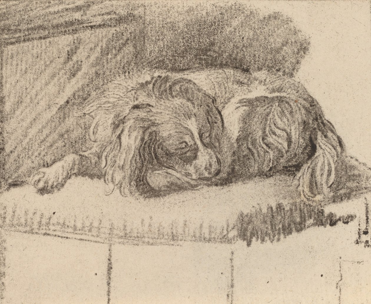 横たわる犬、1777年。 作： Cornelis Brouwer