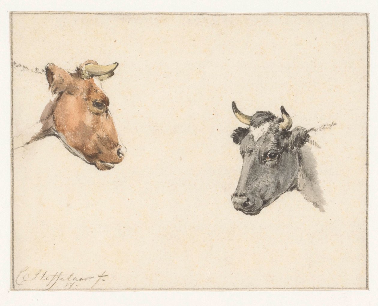 2頭の牛の頭を持つ学習シート 作： Cornelis Steffelaar