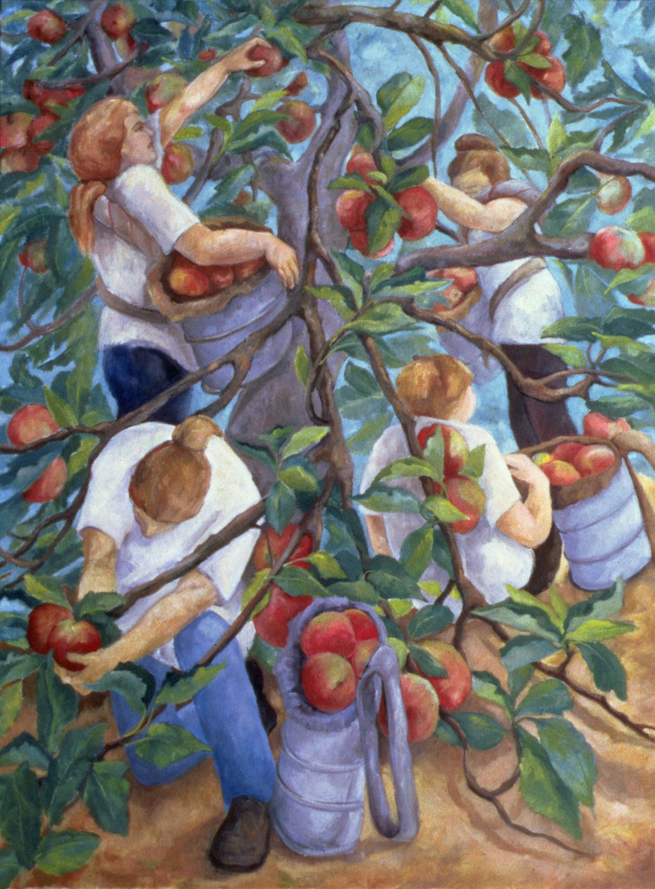 Apple Pickers、1996 作： クリスティアナ・アンジェリーニ