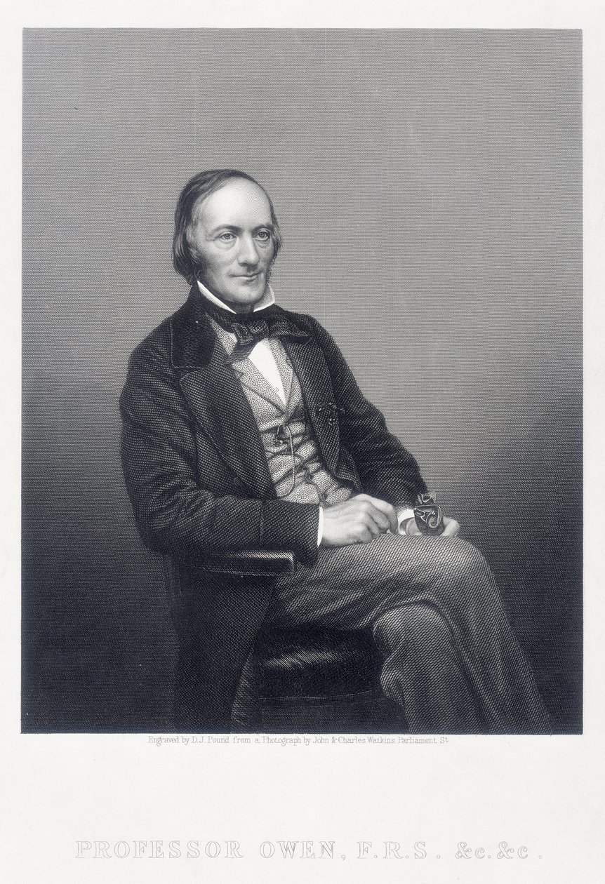 サーリチャードオーウェン、イギリスの動物学者、c1860。 作： ダニエル・ジョン・パウンド