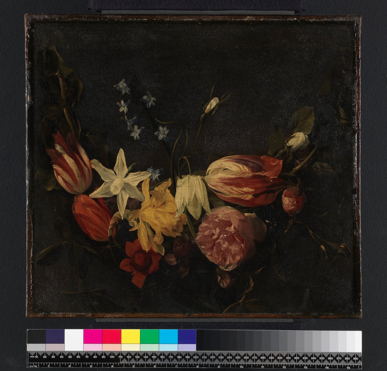 1661年以前の花の花綱 作： ダニエル・セガース