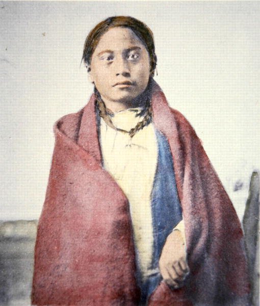 クロウフット（d.1890）（カラー写真） 作： デビッド・フランシス・バリー